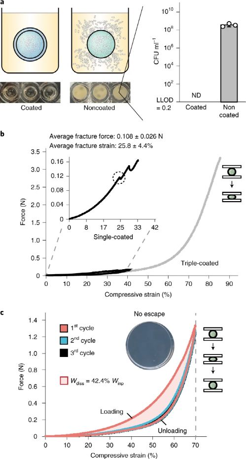 麻省理工學(xué)院趙選賀Nature子刊 基于細(xì)菌的水凝膠生物容器,可進(jìn)行連續(xù)感測和計(jì)算